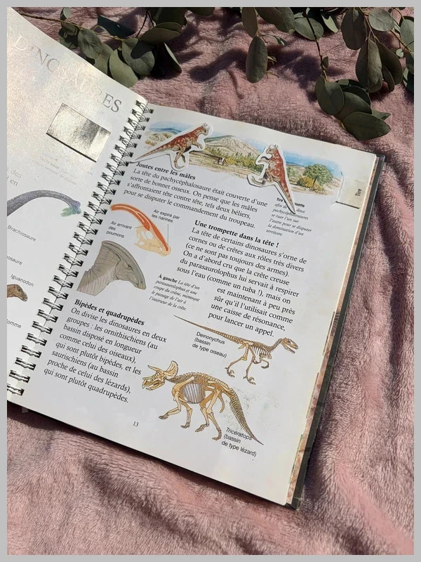 Livro documentário interativo: O tempo dos dinossauros - Nathan <3 – photo 3